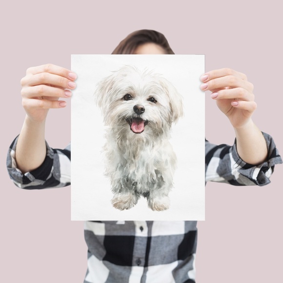 Watercolor White Maltese Dog Portrait Wall Art Print Poster, Unframed - Picture 4 of 6